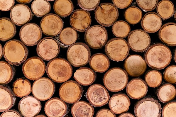 Bois compressé : l'alternative écologique pour votre chauffage